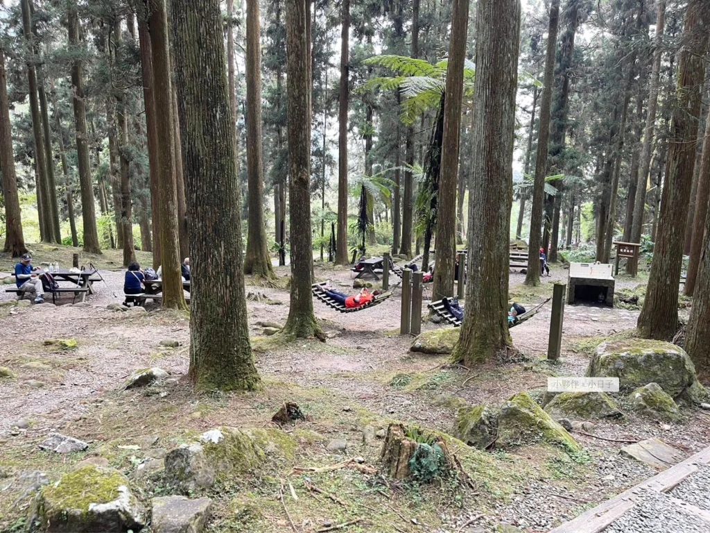 躺在吊床感受涼風，可以午睡或玩手機，享受難能可貴的無慮。