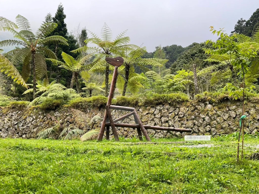 南投爬山景點，溪頭教育園區。