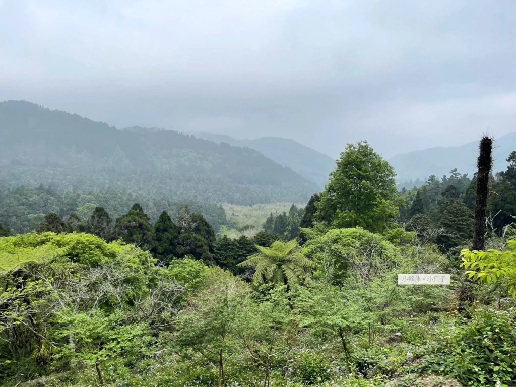 很怕突然下起大雨。