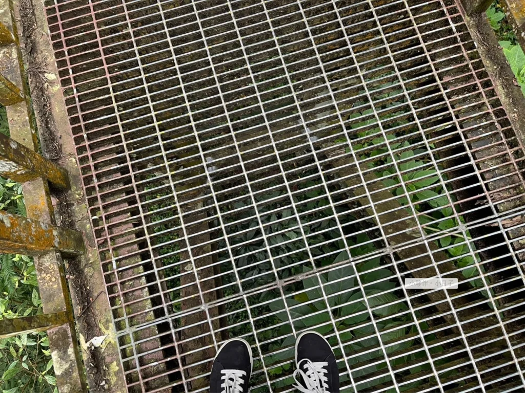 空中走廊使用網格設計