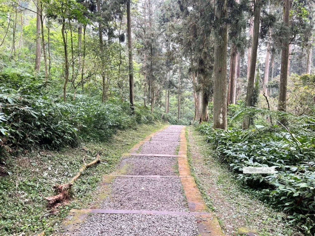 環境清幽，能聽見鳥叫聲。