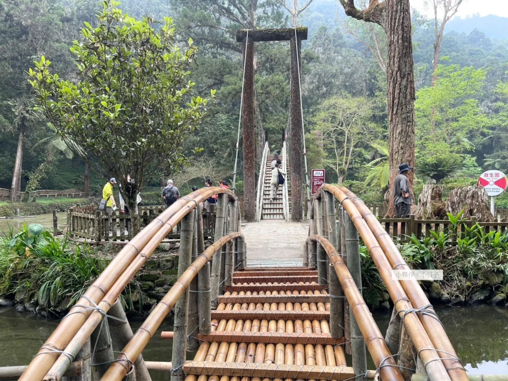 腳踏施力點位置，使用短節木頭綑綁，下坡時不太好走。