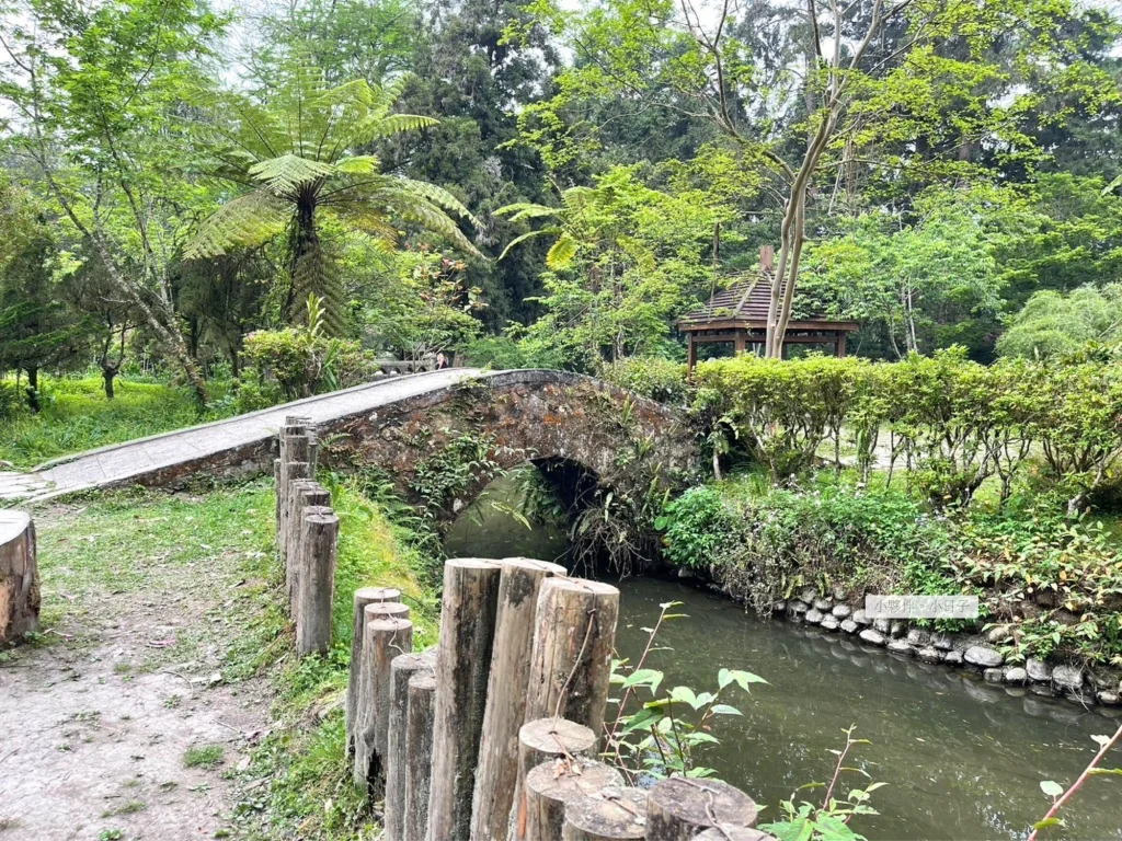 周圍都是綠葉，池塘裡頭還有不少魚。