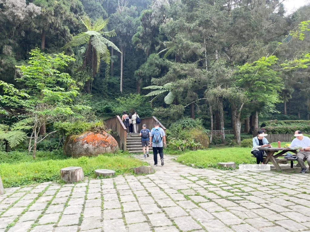 4-5 月若有機會住宿，晚上不妨到這裡走走，據說可以看到不少螢火蟲。