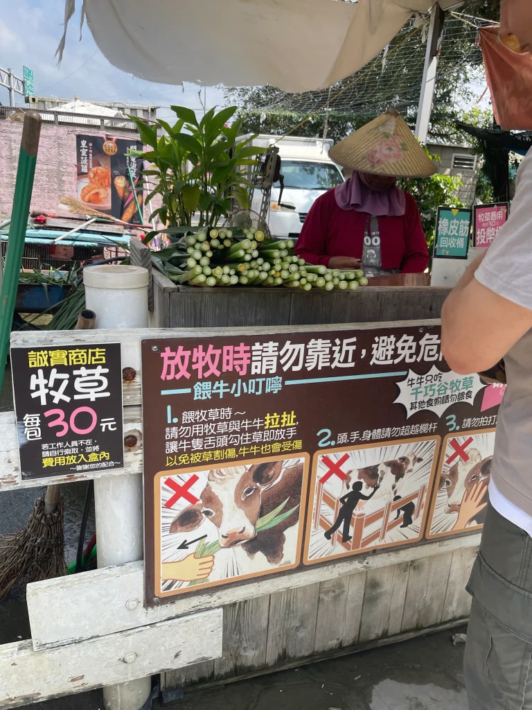 帶幼兒餵牛的小提醒