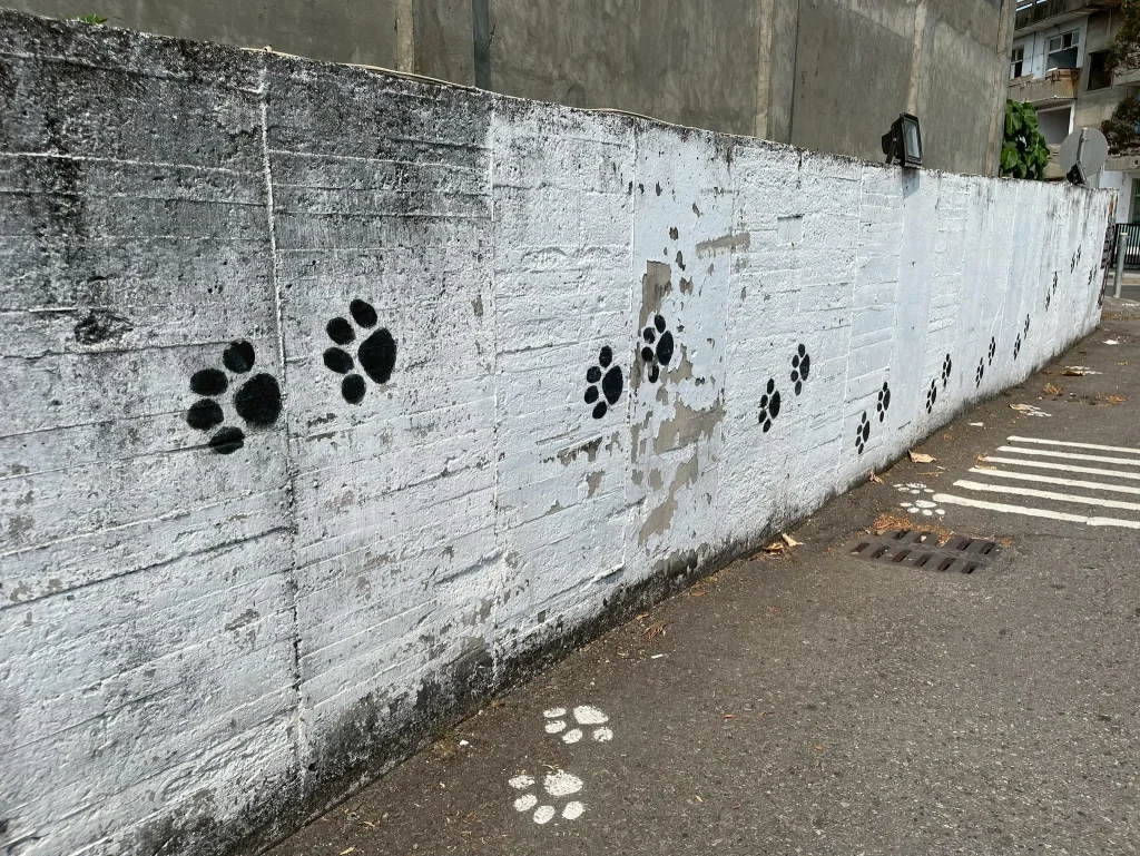 可愛的狗狗小腳印