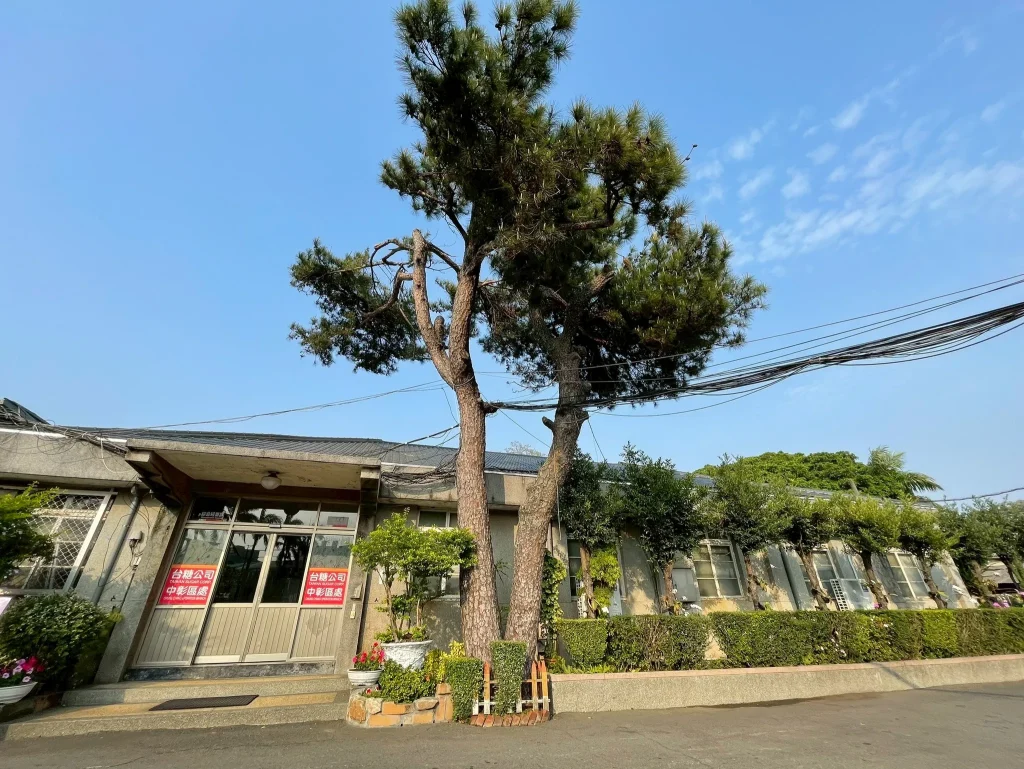 親子體驗小記錄，，弟弟看到這棵大樹，突然開心「呵呵呵」的笑出來