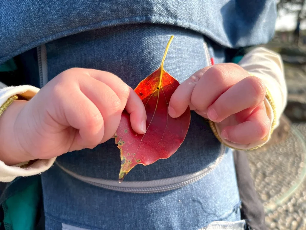 讓寶寶摸摸樹幹、踩踩草地、抓抓葉子—— 這些看似簡單的行為，都是在幫助他建立觸覺與感官經驗。