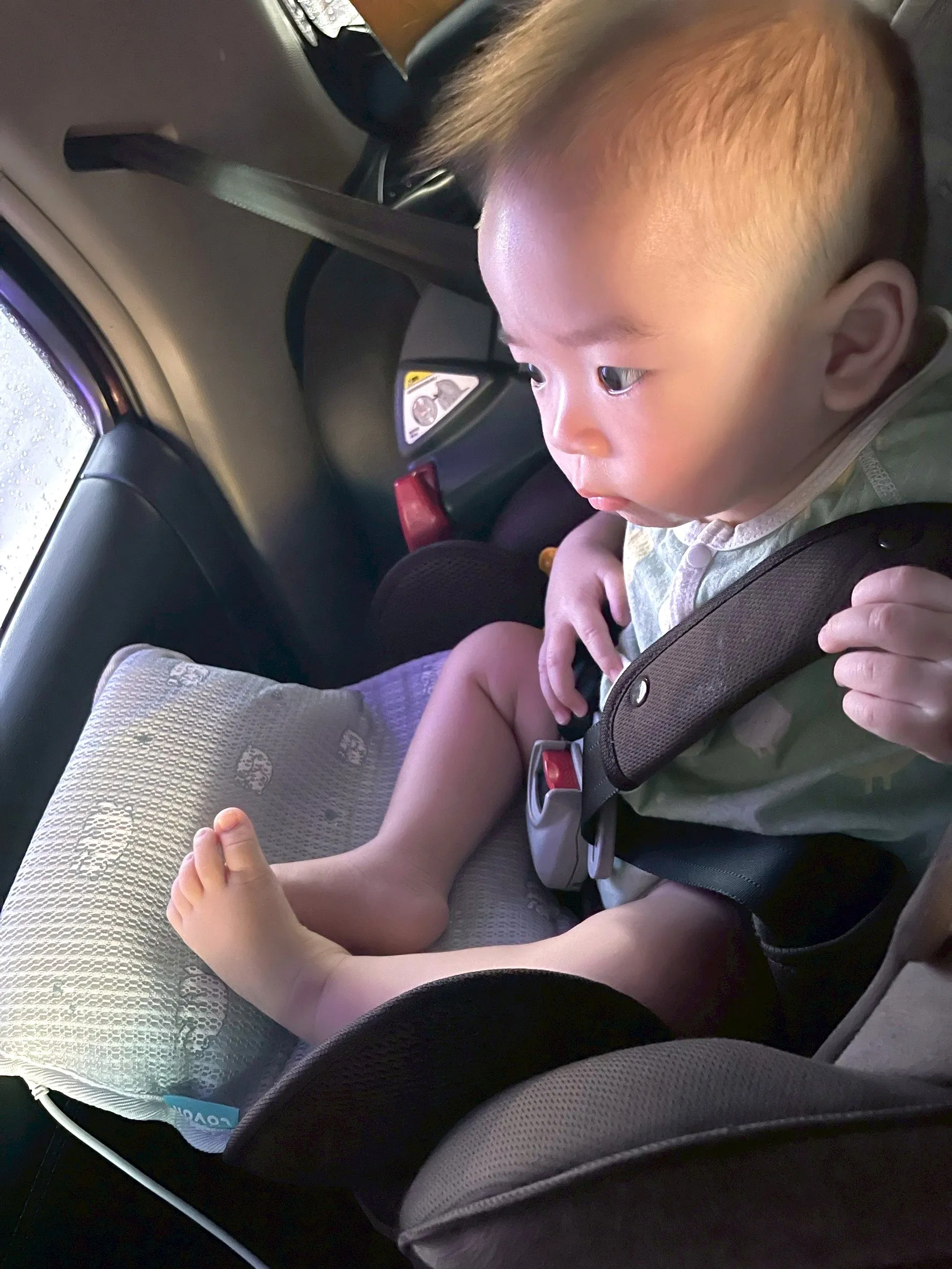 坐車兜風（洗車初體驗）