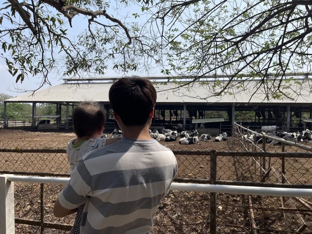 東海乳牛