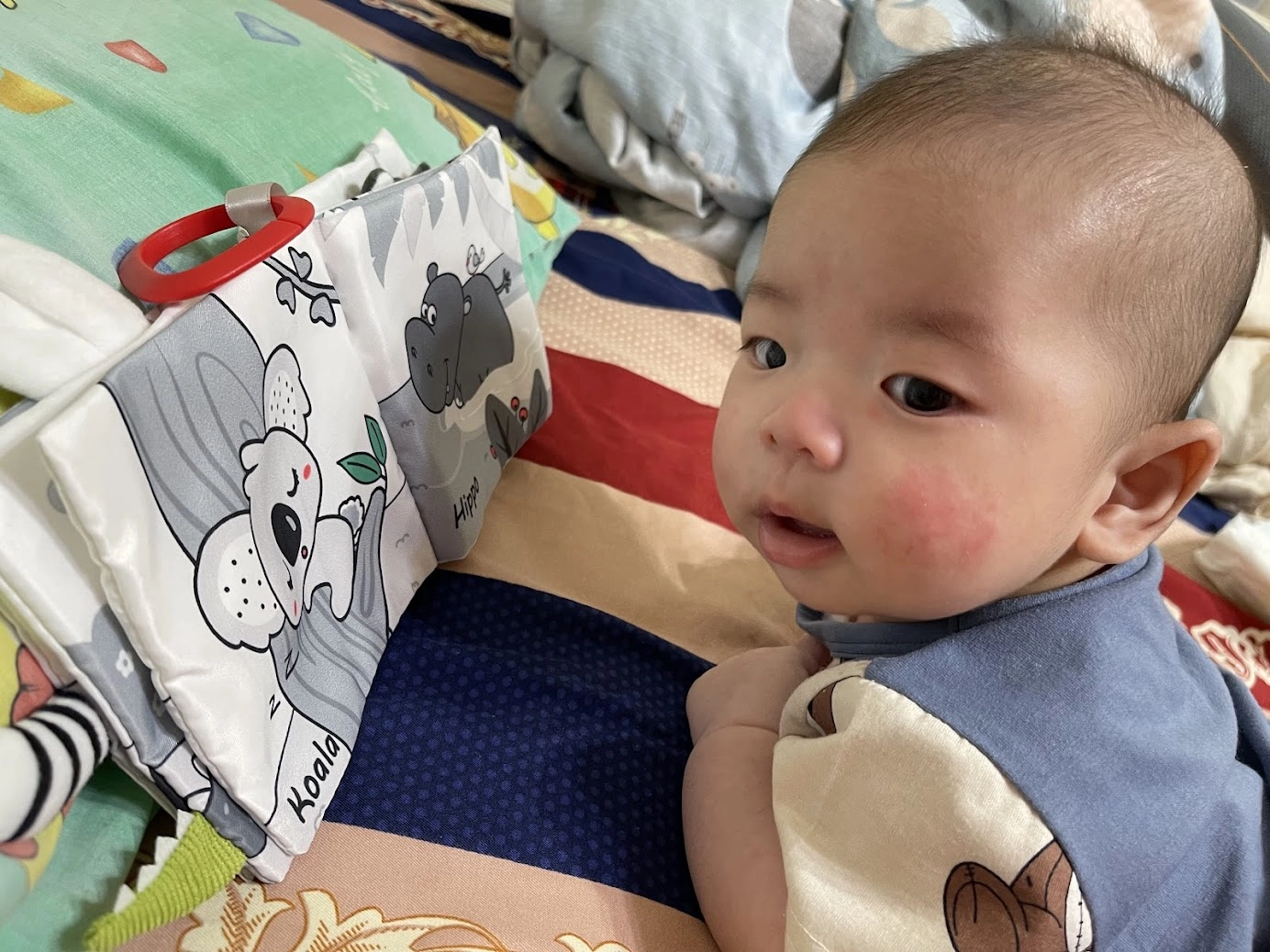 親子共讀書單怎麼選？0-1歲寶寶實測+餵故事書長大的孩子啟發
