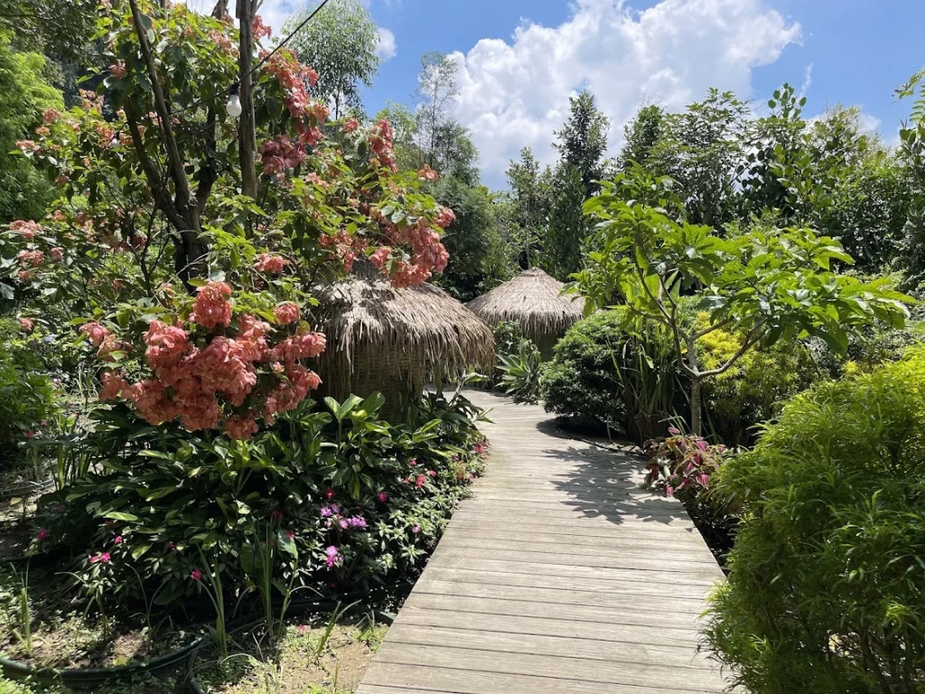 卓也小屋園區環境：森林感很好拍