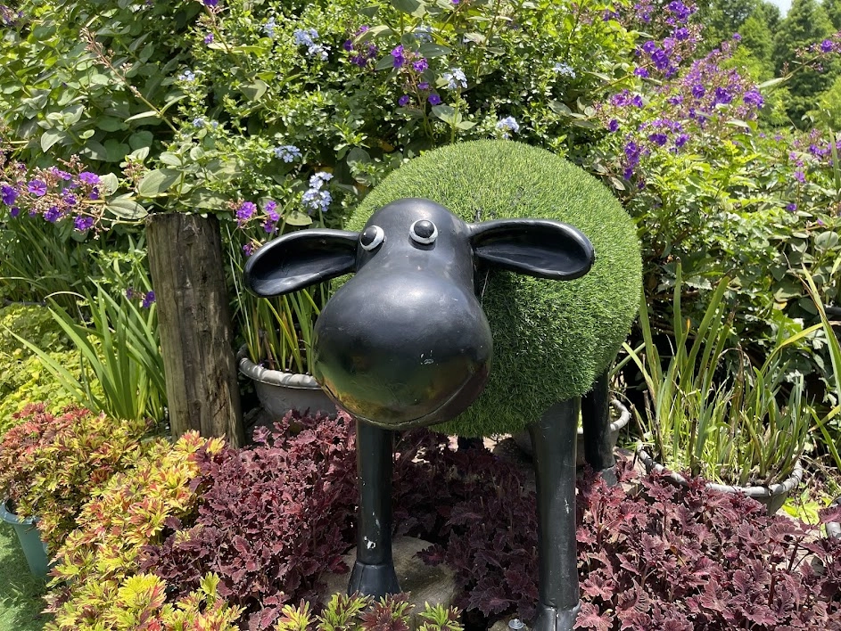 卓也小屋園區環境：森林感很好拍