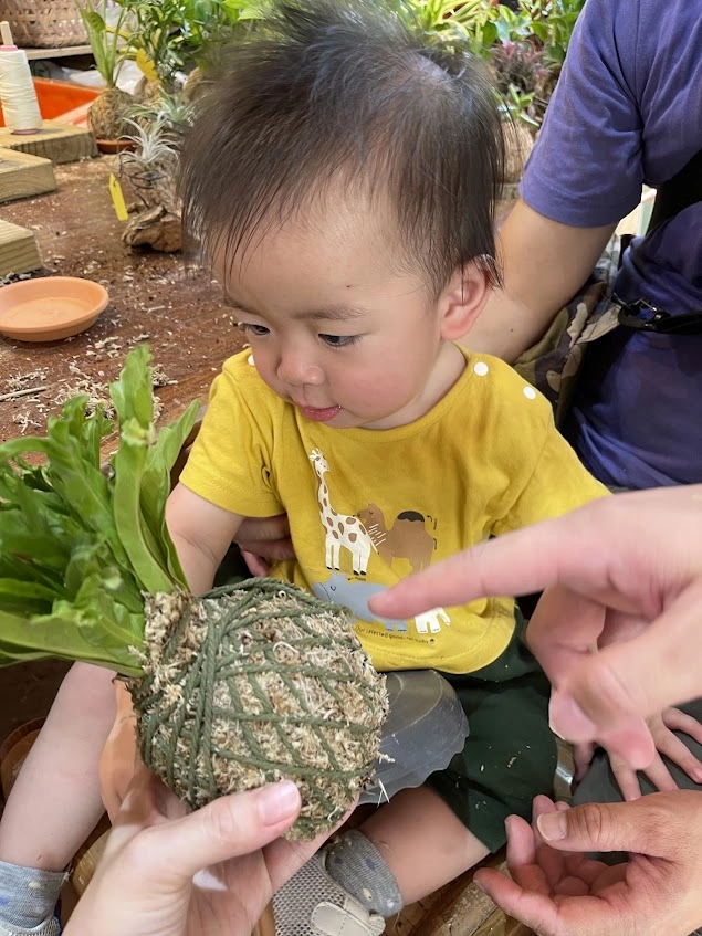 與一歲幼兒體驗水苔球手作
