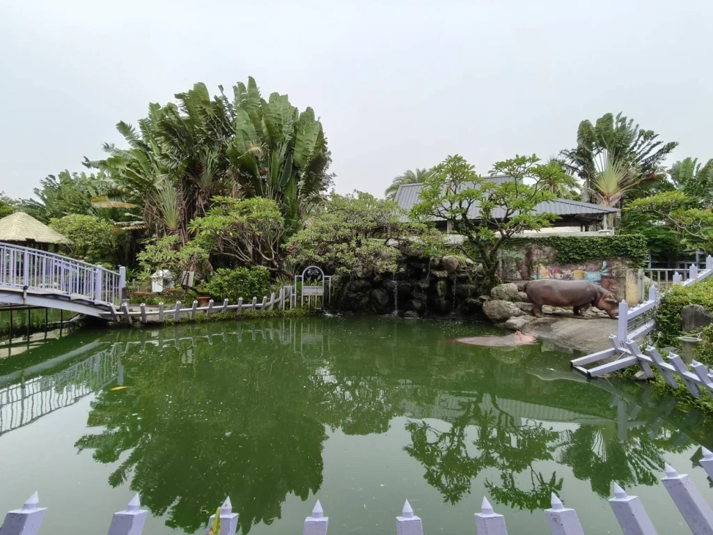 淨園農場雙心湖泊與園區景觀，這區是河馬生活範圍。