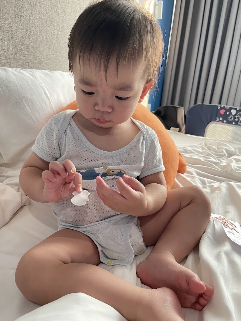 入住華園大飯店草衙館還有送一份獅子吉祥物貼紙,弟弟一拿到就抓著不放。