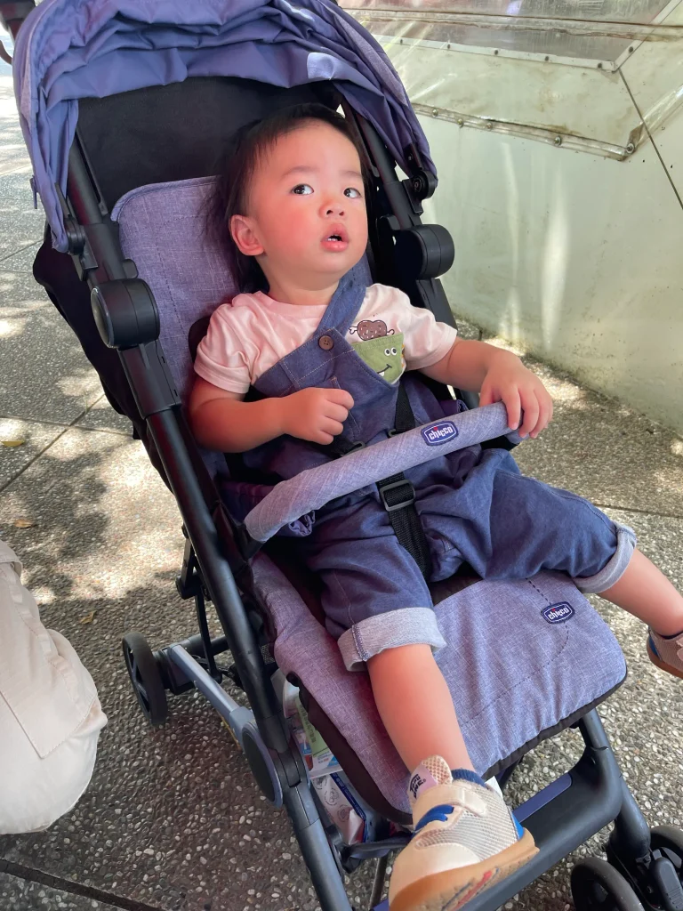 帶幼兒來劍湖山，推車一定要帶
