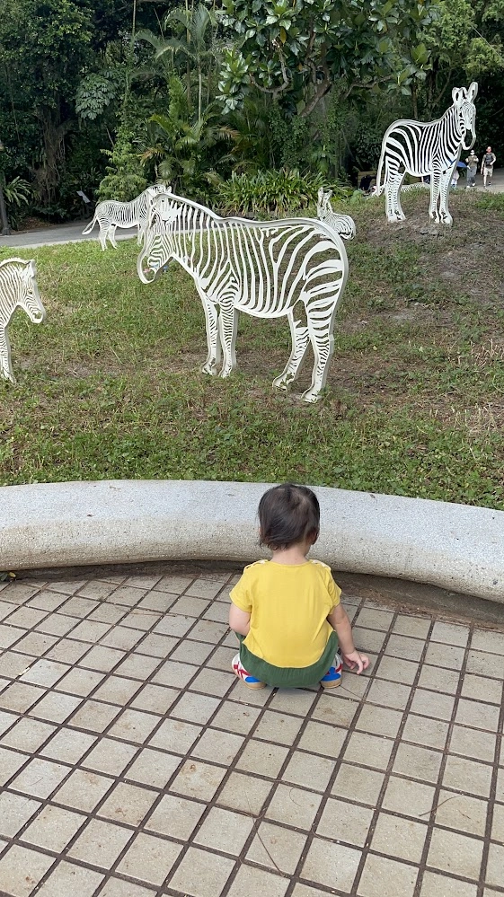 一歲半適合去台北木柵動物園嗎？