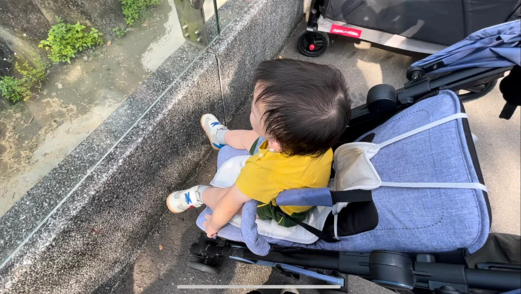 一歲半去動物園，推車建議一定帶