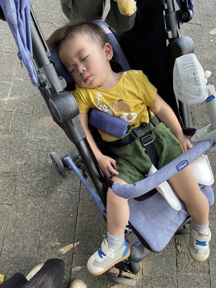午睡怎麼安排？我們直接讓弟弟睡推車